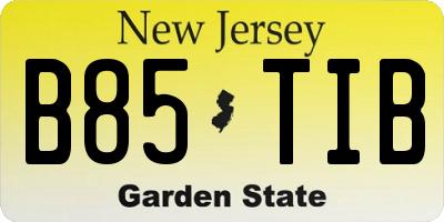 NJ license plate B85TIB