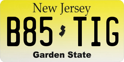 NJ license plate B85TIG