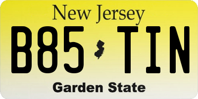 NJ license plate B85TIN