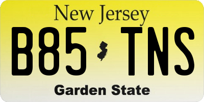 NJ license plate B85TNS