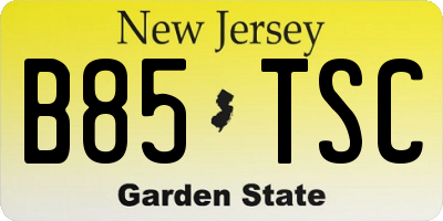 NJ license plate B85TSC