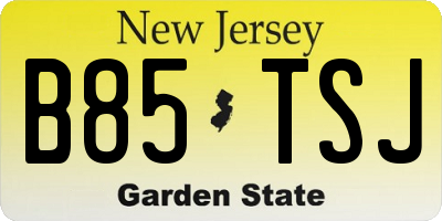 NJ license plate B85TSJ