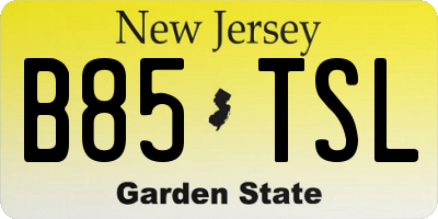 NJ license plate B85TSL