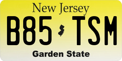 NJ license plate B85TSM