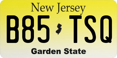 NJ license plate B85TSQ