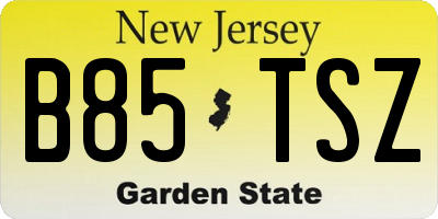 NJ license plate B85TSZ