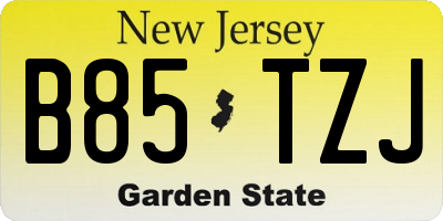 NJ license plate B85TZJ