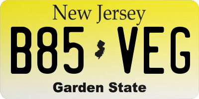 NJ license plate B85VEG