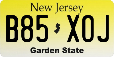 NJ license plate B85XOJ