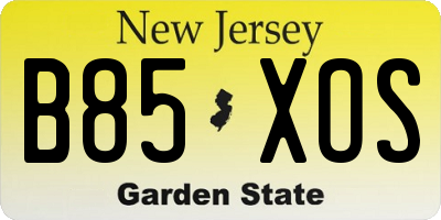 NJ license plate B85XOS