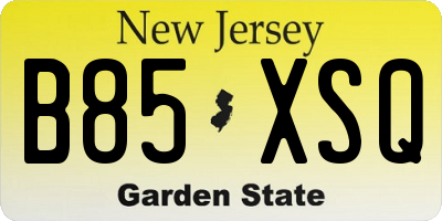 NJ license plate B85XSQ