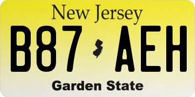 NJ license plate B87AEH
