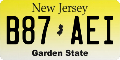 NJ license plate B87AEI