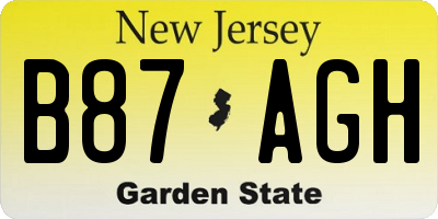 NJ license plate B87AGH