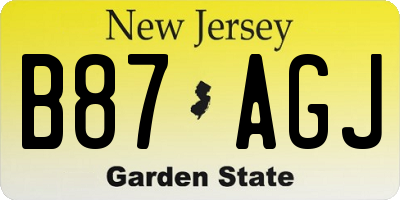 NJ license plate B87AGJ
