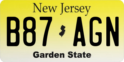 NJ license plate B87AGN