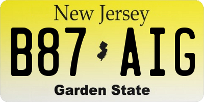 NJ license plate B87AIG