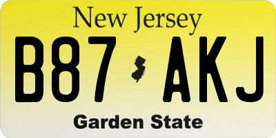 NJ license plate B87AKJ