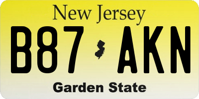 NJ license plate B87AKN