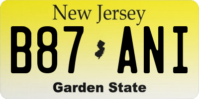 NJ license plate B87ANI