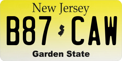 NJ license plate B87CAW