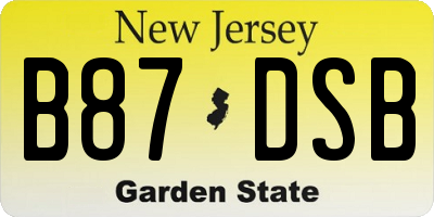 NJ license plate B87DSB