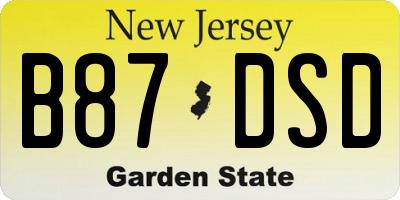 NJ license plate B87DSD