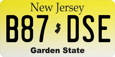 NJ license plate B87DSE