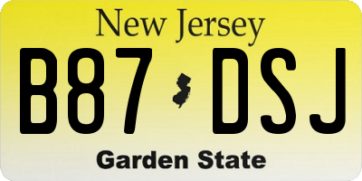 NJ license plate B87DSJ