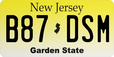 NJ license plate B87DSM