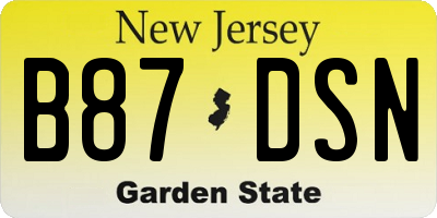 NJ license plate B87DSN