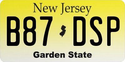 NJ license plate B87DSP