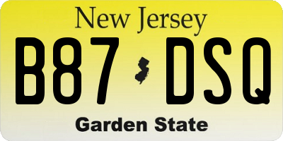 NJ license plate B87DSQ