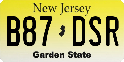 NJ license plate B87DSR