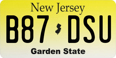 NJ license plate B87DSU