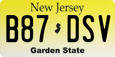 NJ license plate B87DSV