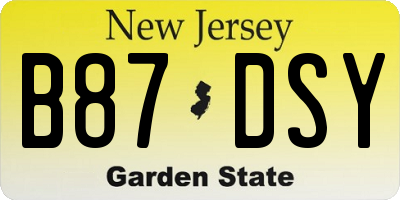 NJ license plate B87DSY