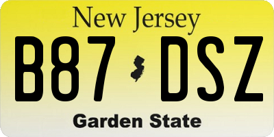 NJ license plate B87DSZ