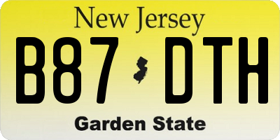 NJ license plate B87DTH