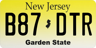 NJ license plate B87DTR