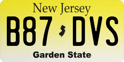 NJ license plate B87DVS