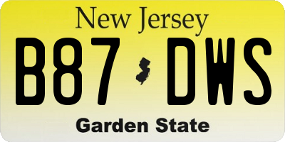 NJ license plate B87DWS
