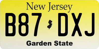 NJ license plate B87DXJ