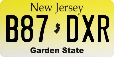 NJ license plate B87DXR