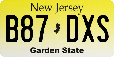 NJ license plate B87DXS