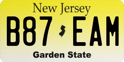 NJ license plate B87EAM