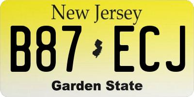 NJ license plate B87ECJ