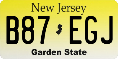 NJ license plate B87EGJ