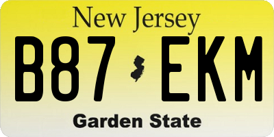 NJ license plate B87EKM
