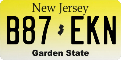 NJ license plate B87EKN